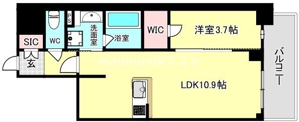 RJRプレシア南堀江の間取り