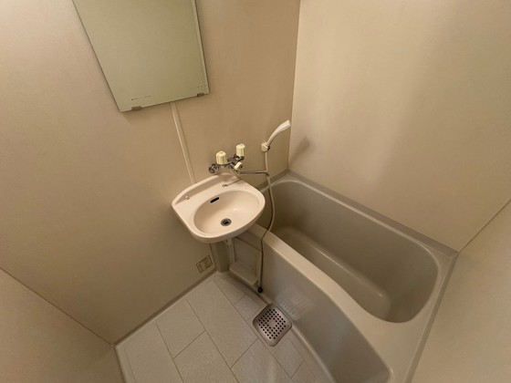 バス・シャワールーム　※別部屋の写真です