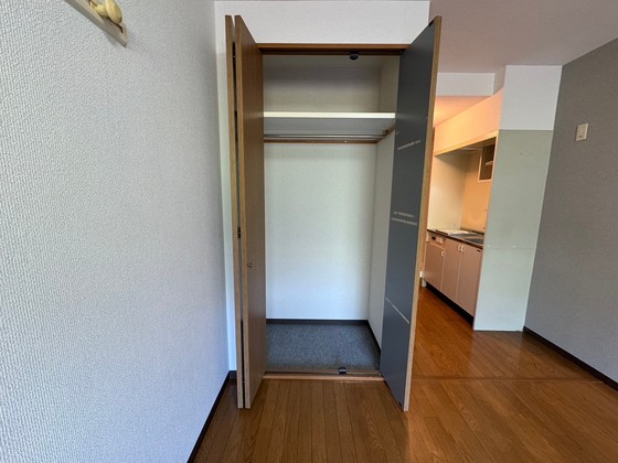 収納　※別部屋の写真です