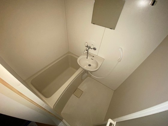 バス・シャワールーム　※別部屋の写真です