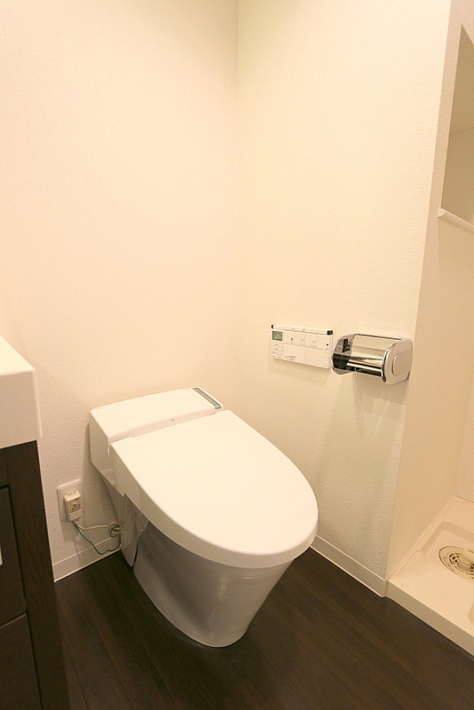 HAYAKAWA CORT annex ハヤカワコートアネックスのトイレ写真
