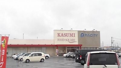 ショッピングセンター　ピアシティ宮代（ショッピングセンター）まで1100m