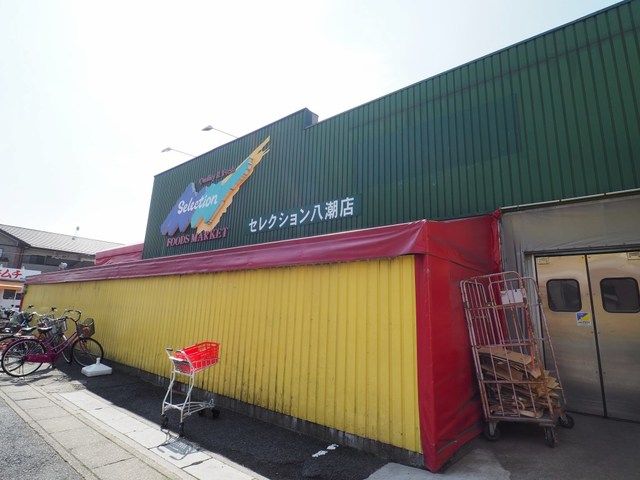 スーパー　セレクション八潮店（スーパー）まで500m