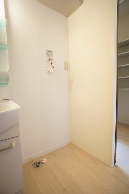 その他　脱いだ服をすぐ洗濯機に入れられる便利な配置です