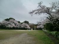 公園　宮山公園（公園）まで967m