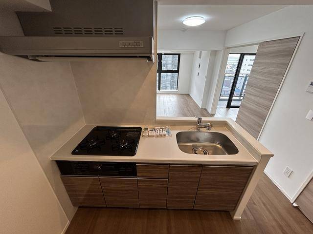 庭　システムキッチンです