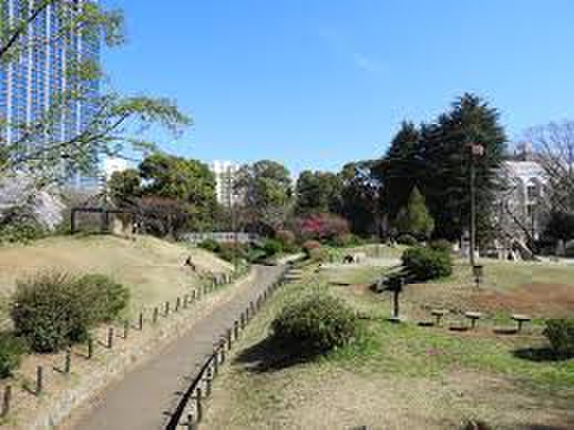 公園　戸山公園（公園）まで450m