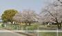 公園　中津公園（公園）まで206m
