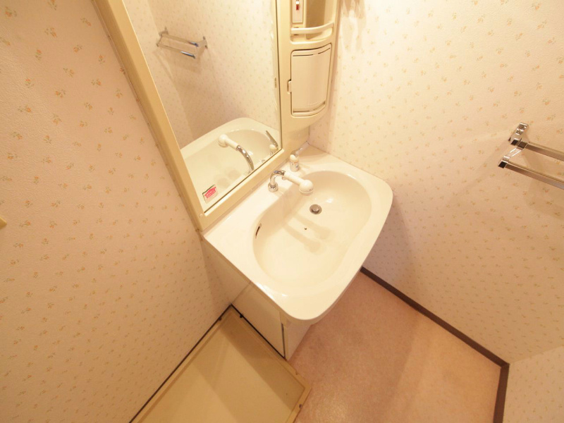 洗面設備　脱衣所　独立洗面台（シャンプードレッサー）