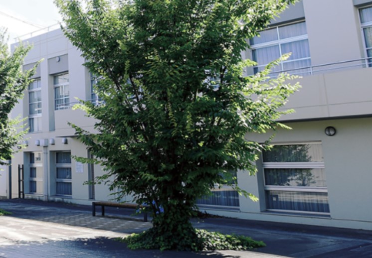 ZOOM高田馬場の周辺写真