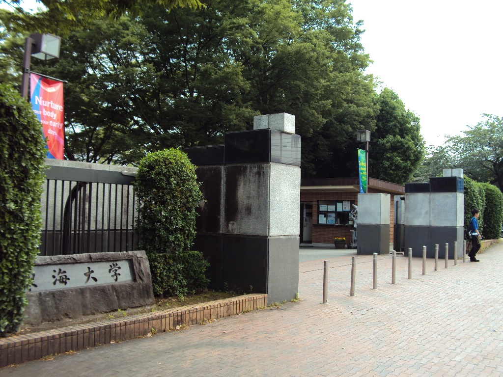 大学・短大　私立東海大学湘南キャンパス（大学・短大）まで590m
