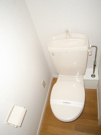 【SANAEのトイレ】