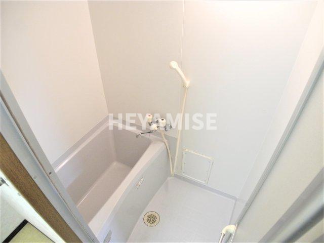 バス・シャワールーム　※同間取りの別の階のお部屋の画像です※現況を優先します