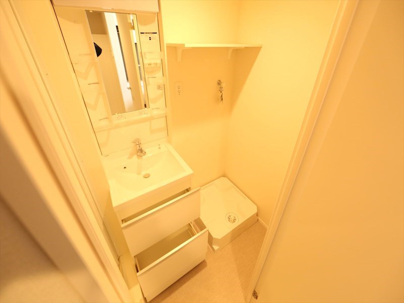 洗面設備　脱衣所　独立洗面台（シャンプードレッサー付）　同仕様写真