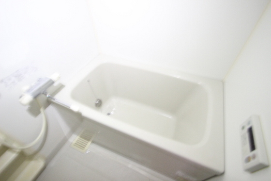 バス・シャワールーム　※別部屋の写真です