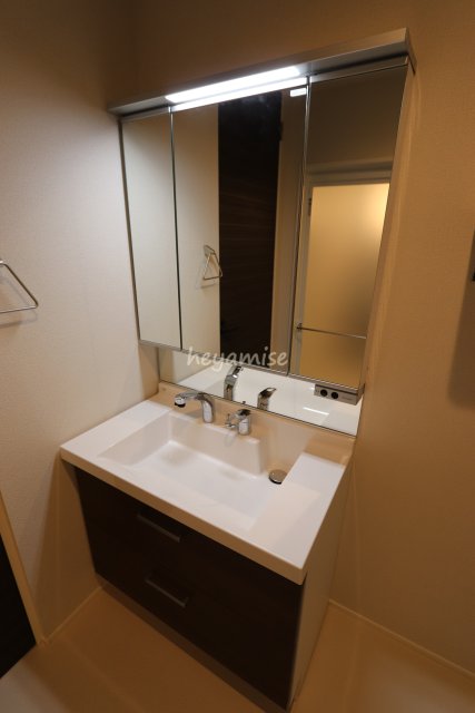 洗面設備　写真は別号室