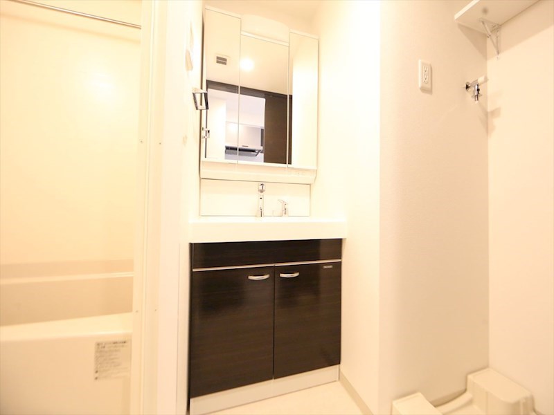 洗面設備　脱衣所　独立洗面台（シャンプードレッサー付）収納スペース有