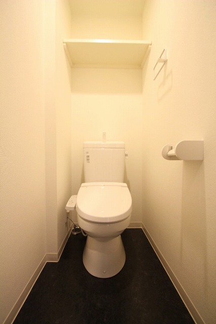 トイレ　同物件別号室のものです。