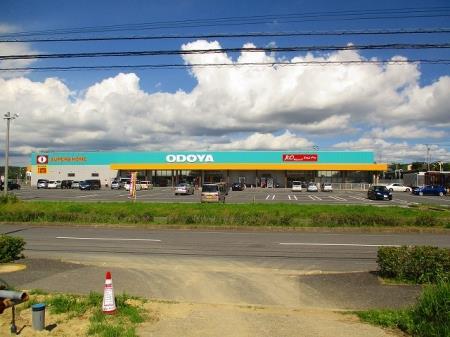 スーパー　ODOYA羽鳥野店（スーパー）まで754m