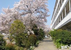 小学校　戸田市立喜沢小学校（小学校）まで662m