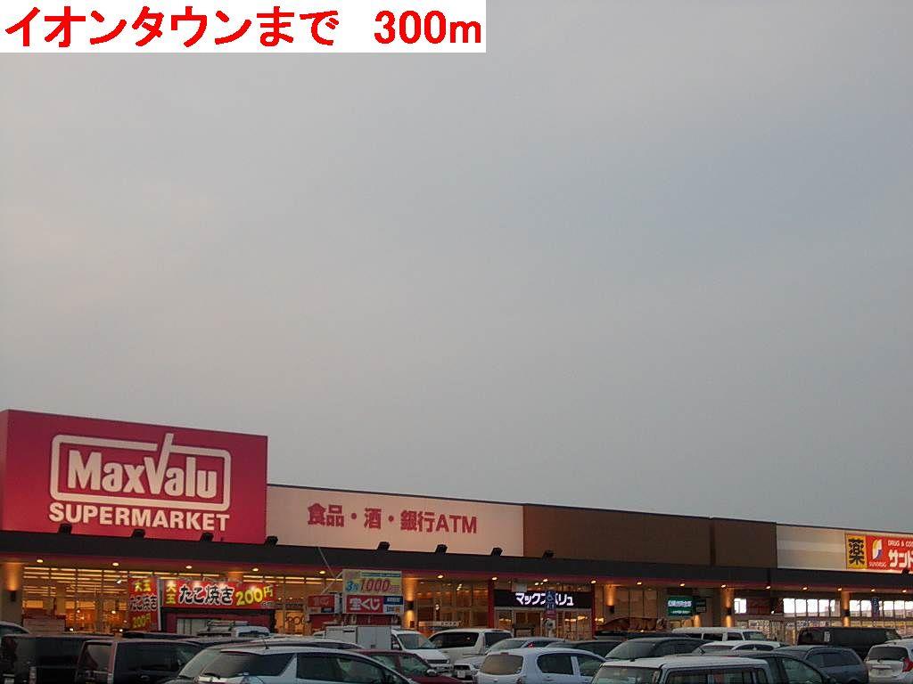 その他　イオンタウンまで300m