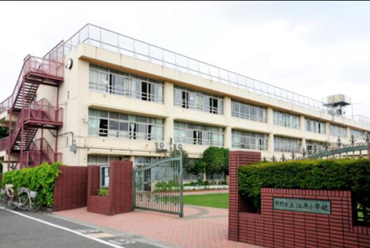 小学校　中野区立江原小学校（小学校）まで643m
