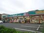 ドラックストア　ドラッグセイムス堀の内店（ドラッグストア）まで548m