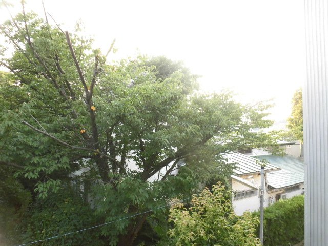 眺望　※別室参考写真