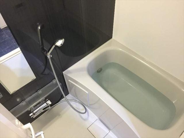 メインステージ錦糸町VIIラピスの風呂写真