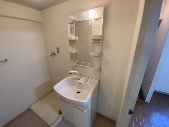 洗面設備　※別号室の写真です