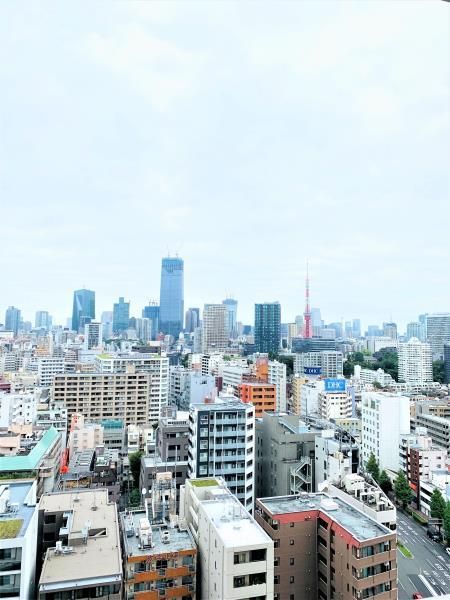 白金ザ・スカイ東棟のその他写真