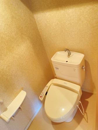 ＪＲ総武線 新検見川駅 徒歩15分 2階建 築17年のトイレ写真