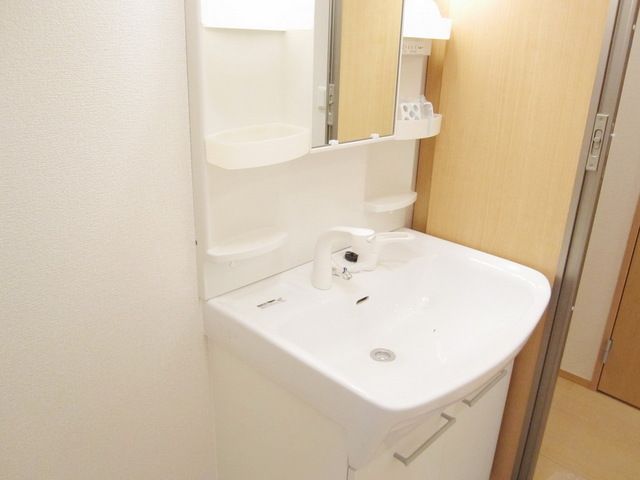 洗面設備　朝に助かるシャンプードレッサー