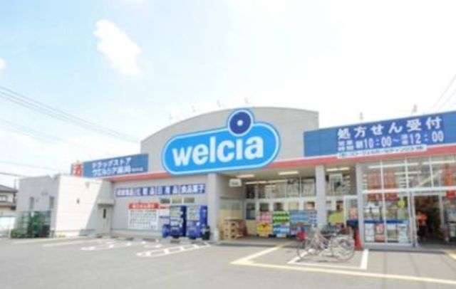 その他　ウェルシア（その他）まで1000m