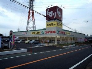 ドラックストア　スギ薬局柏豊四季店（ドラッグストア）まで1213m