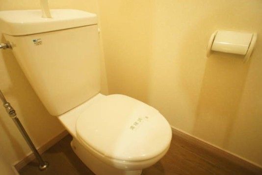 西鉄天神大牟田線 大橋駅 徒歩9分 10階建 築30年のトイレ写真