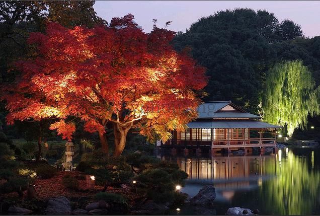 公園　都立清澄庭園（公園）まで937m