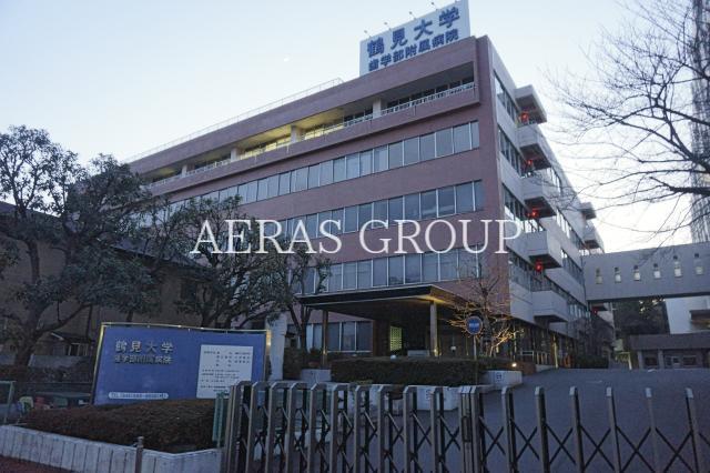 大学・短大　鶴見大学（大学・短大）まで705m