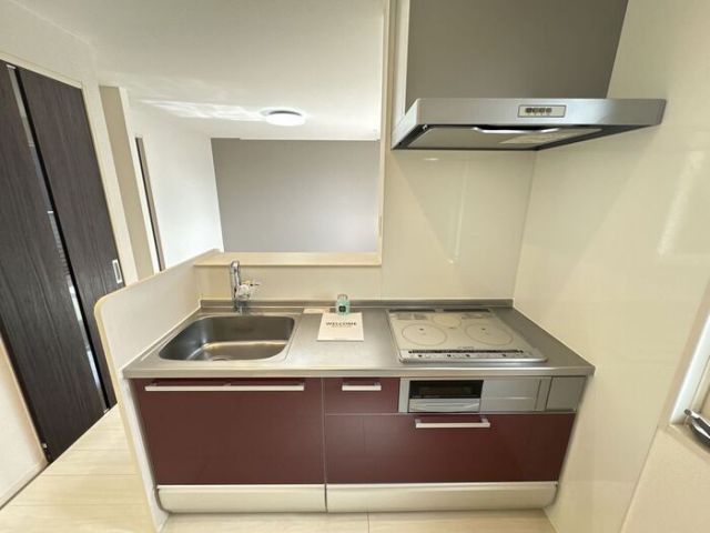 フォーゲルテラス グリューン Vのキッチン写真