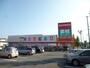ホームセンター　DCMサンワ函館本通店（ホームセンター）まで441m