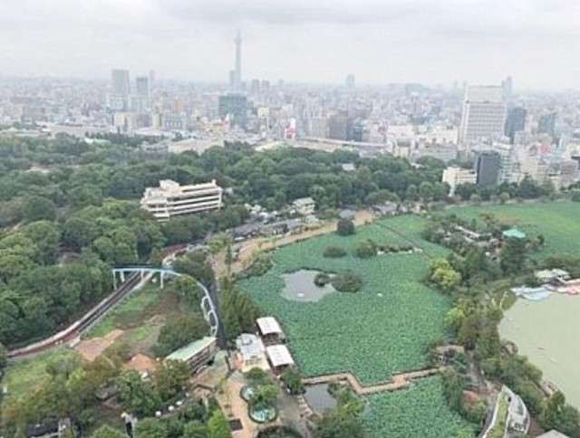 【ルネッサンスタワー上野池之端のセキュリティ】