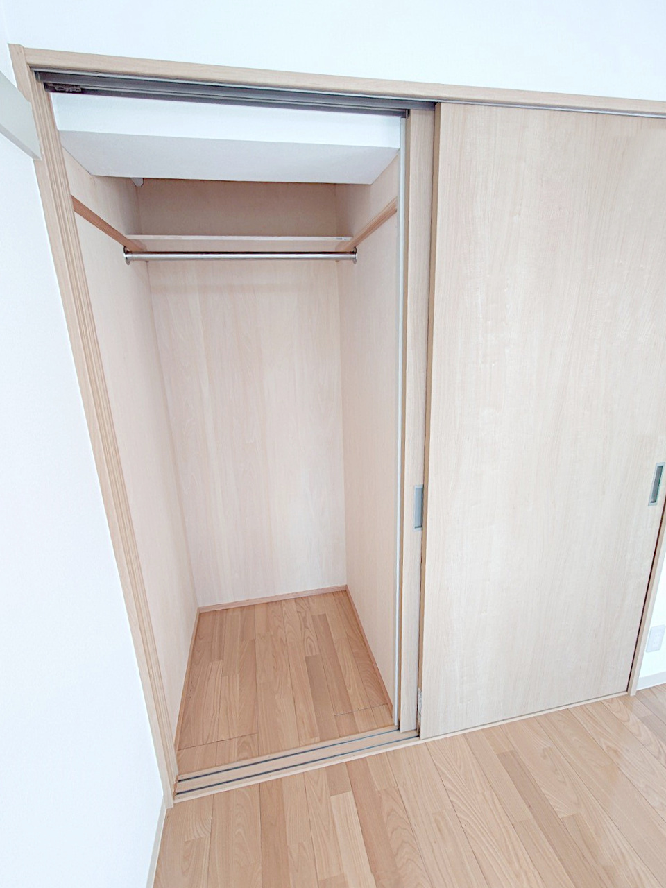 収納　クローゼットタイプ