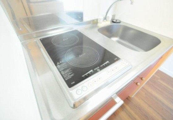 キッチン　※他号室の写真です