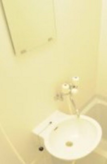 洗面設備　※他号室の写真です