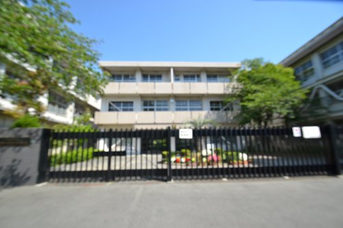 中学校　西宮市立浜甲子園中学校（中学校）まで554m