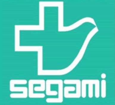 ドラックストア　ドラッグセガミ 蒲田駅前店（ドラッグストア）まで505m