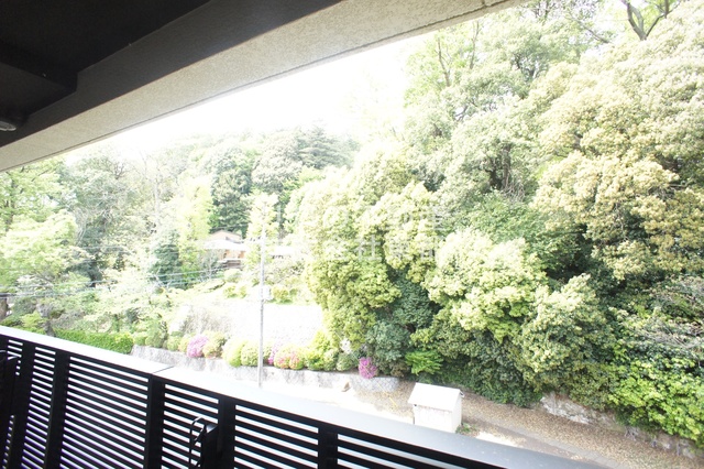 眺望　お部屋前には緑があるので、心癒されますね☆