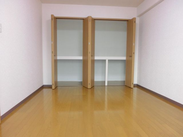 収納　８帖洋間と収納の眺め。