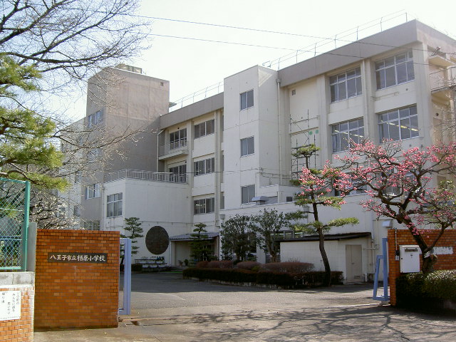 小学校　八王子市立 楢原小学校（小学校）まで375m