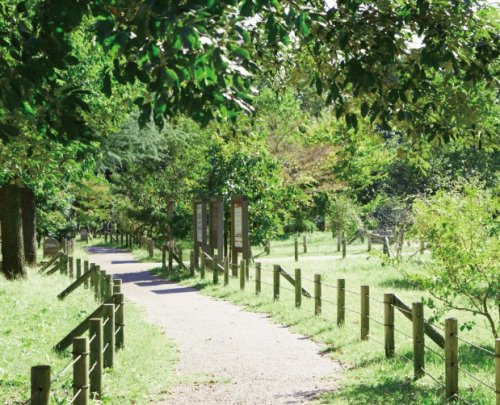 公園　成城一丁目小緑地（公園）まで4402m